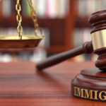 migration law